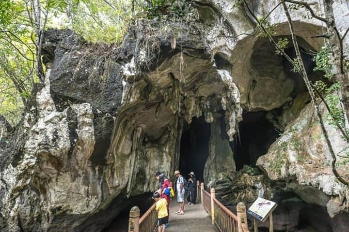 Langkawi Kilim Mangrove & Waterfall Tour — Kilim Karst Geopark Guide photo 6