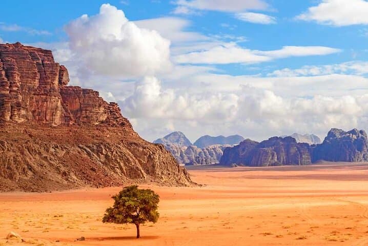 Wadi Rum Full-Day Jeep Tour with Bedouin Lunch & Sandboarding photo 6