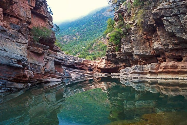 Paradise Valley Half-Day Tour from Agadir — Natural Pools, Argan Groves & Atlas Views photo 3