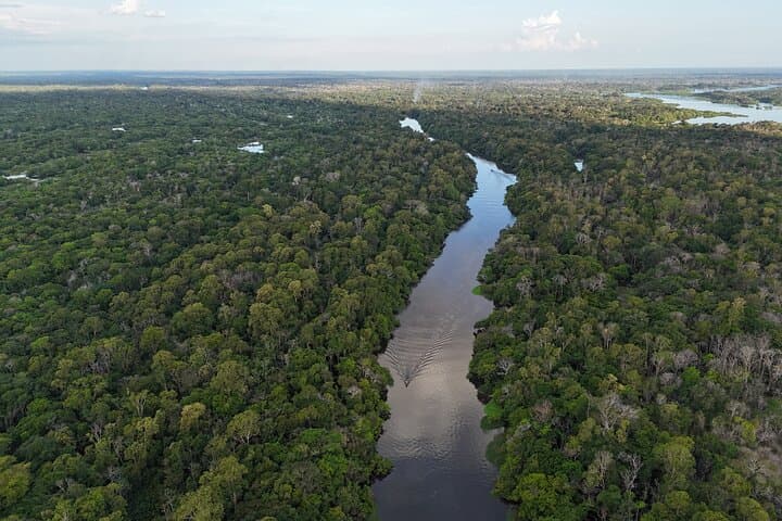 3-Day Amazon Jungle Adventure: Pink Dolphins, Wildlife & Indigenous Culture photo 4