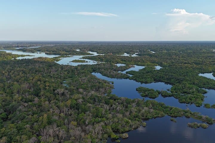 3-Day Amazon Jungle Adventure: Pink Dolphins, Wildlife & Indigenous Culture photo 5