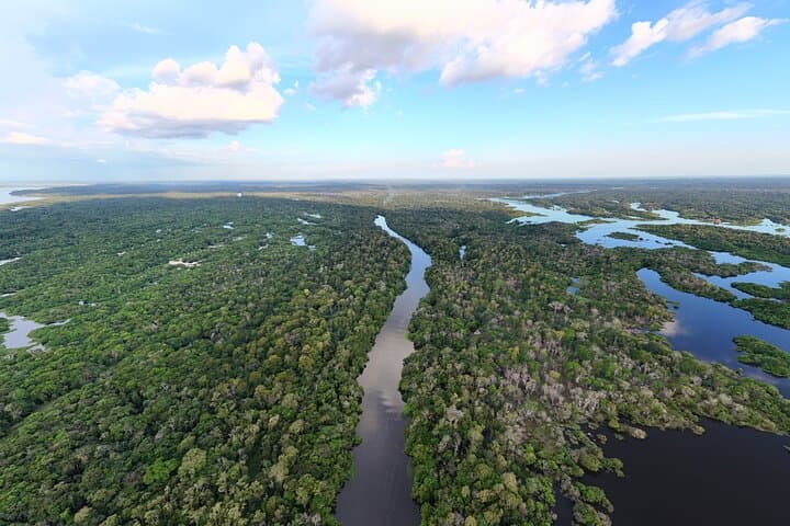 3-Day Amazon Jungle Adventure: Pink Dolphins, Wildlife & Indigenous Culture photo 6