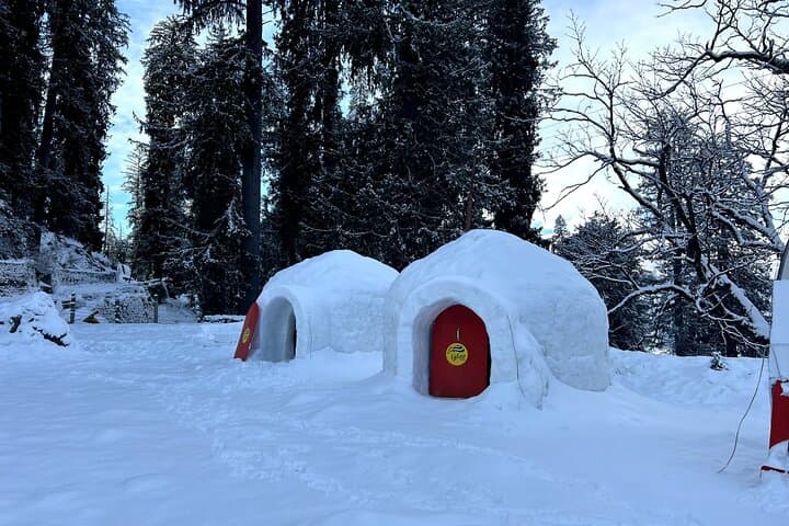 3-Day Snowshoeing Retreat in Sethan Village, Manali photo 6