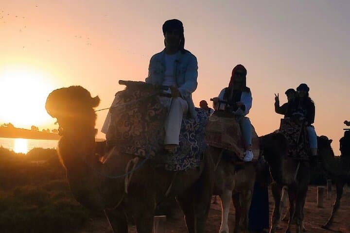 Agadir Sunset Camel Ride and Barbecue on the Souss River