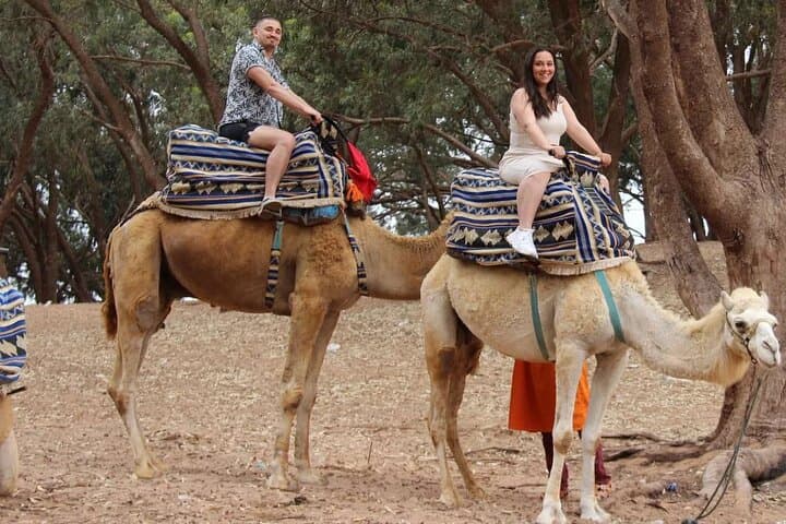 Agadir Sunset Camel Ride and Barbecue on the Souss River photo 4