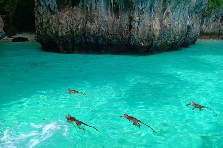 Phi Phi Sunset and Bioluminescent Plankton Snorkel by Speedboat photo 6