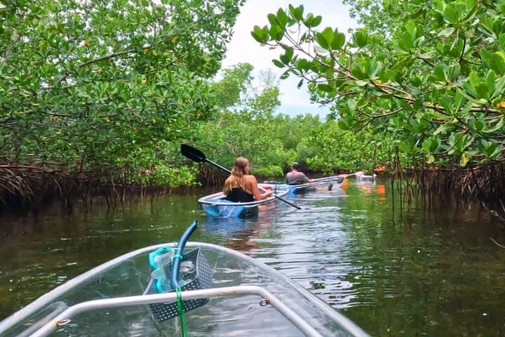 Clear Kayak Beach-Hopping Adventure on Sarasota's Gulf Coast photo 5