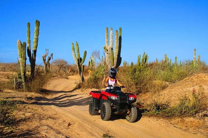 Los Cabos ATV Desert Adventure — Semi-Automatic Off-Road Tour photo 2