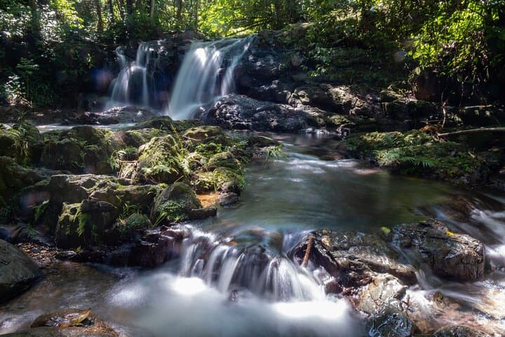 Charco Prieto Jungle and Waterfall Adventure from San Juan photo 3