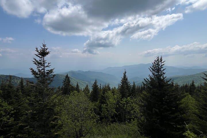 Guided Art Hikes in Great Smoky Mountains National Park: Paint & Hike Tours photo 4