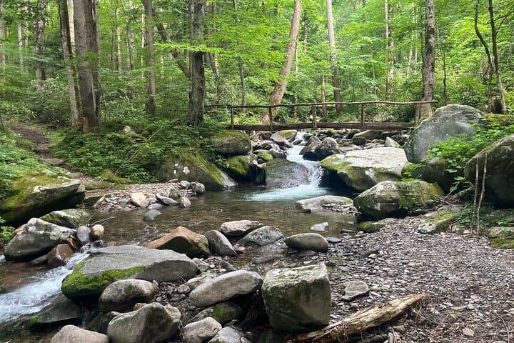 Guided Art Hikes in Great Smoky Mountains National Park: Paint & Hike Tours photo 5