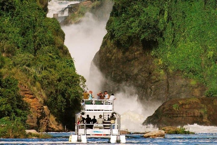 Murchison Falls Nile Boat Safari: Wildlife, Birds & the Nile's Surge photo 1