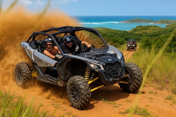 Oceanview Offroad UTV Tour in Fajardo — Laguna Grande & Coastal Overlooks
