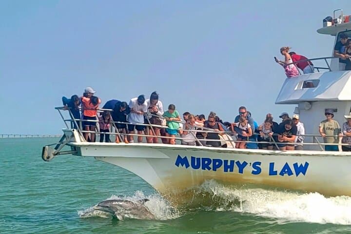 South Padre Island 1-Hour Dolphin Dash — Quick Laguna Madre Dolphin Cruise photo 2