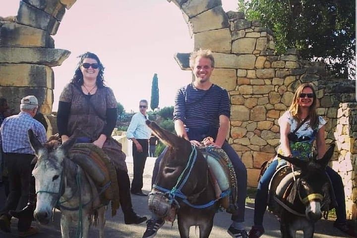 Donkey Ride from Moulay Idriss to Volubilis: Olive-Grove Passage to Roman Ruins photo 4