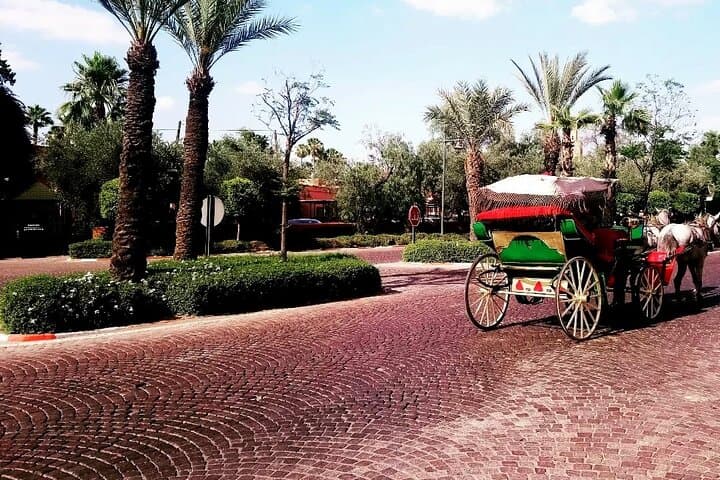 Marrakech Garden Tour: Majorelle, Ménara & Calèche Ride photo 6