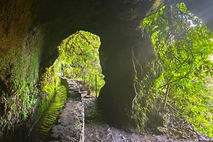 Caldeirão Verde Levada Walk (PR9) — Self-Guided from Santana, Madeira photo 3