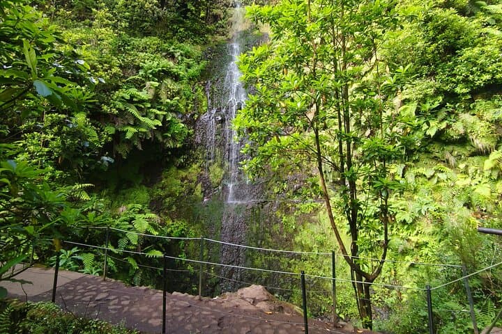 Caldeirão Verde Levada Walk (PR9) — Self-Guided from Santana, Madeira photo 5