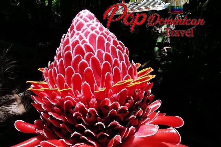 Valle Taino: Puerto Plata Plantation & Tropical Park Cultural Tour photo 2