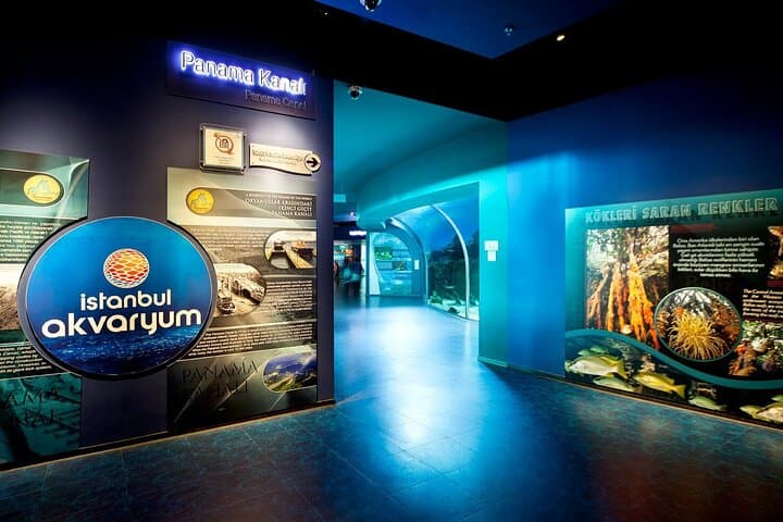 Explore Istanbul Aquarium in Florya: Ocean Tunnel, Penguins & Guided Transfers photo 6
