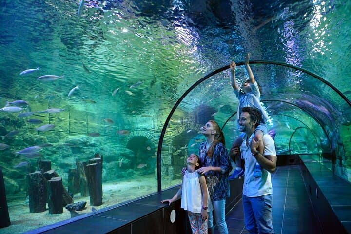 Explore Istanbul Aquarium in Florya: Ocean Tunnel, Penguins & Guided Transfers photo 3