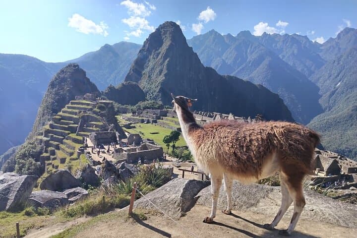 Official Machu Picchu Ticket & Expert Guided Visit — Skip the Line photo 2