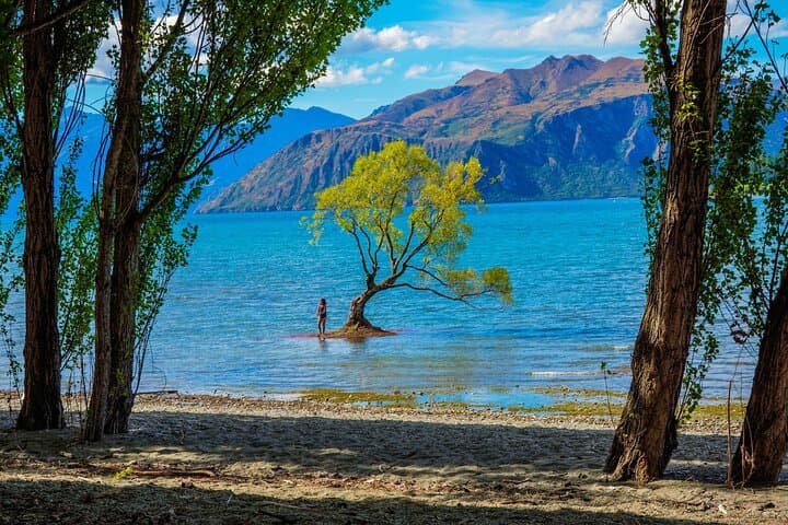 Scenic Queenstown to Wānaka: Crown Range Views & Cardrona Hotel Stop photo 3