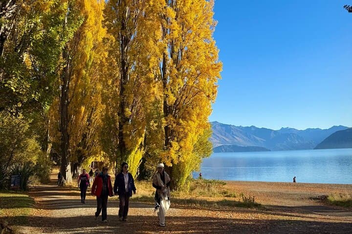 Scenic Queenstown to Wānaka: Crown Range Views & Cardrona Hotel Stop photo 4