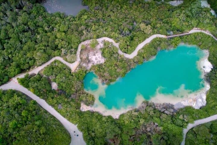 Rotorua Te Puia & Māori Village — Geothermal Wonders and Haka from Auckland photo 5