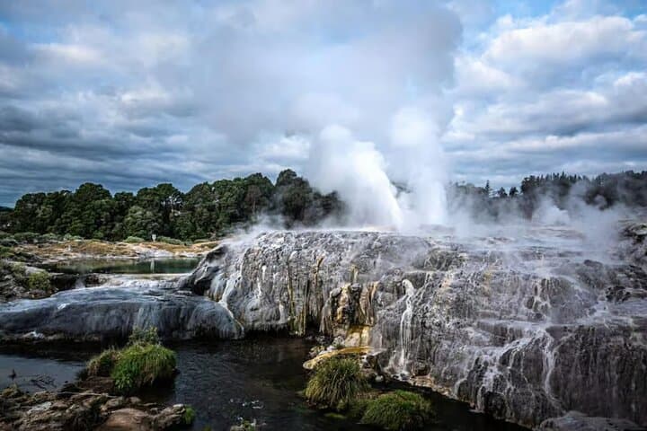 Rotorua Te Puia & Māori Village — Geothermal Wonders and Haka from Auckland