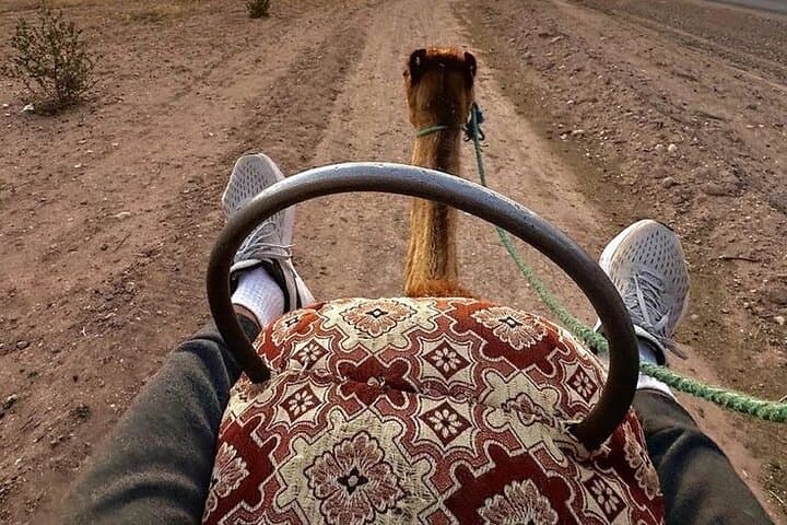 Paragliding & Camel Ride from Marrakech: Agergour Plateau Adventure photo 6