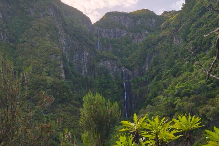 Rabacal Hike: Levada das 25 Fontes & Risco Waterfall Self-Guided Day Trip photo 3