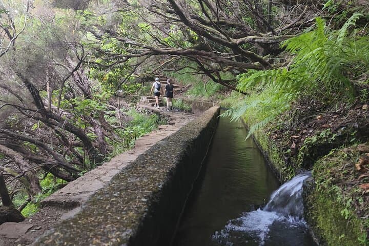 Rabacal Hike: Levada das 25 Fontes & Risco Waterfall Self-Guided Day Trip photo 4
