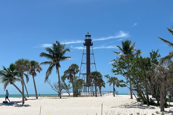 Private Dolphin Watching & Barrier-Island Beach Day from Cape Coral photo 6