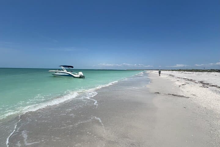 Private Dolphin Watching & Barrier-Island Beach Day from Cape Coral photo 2