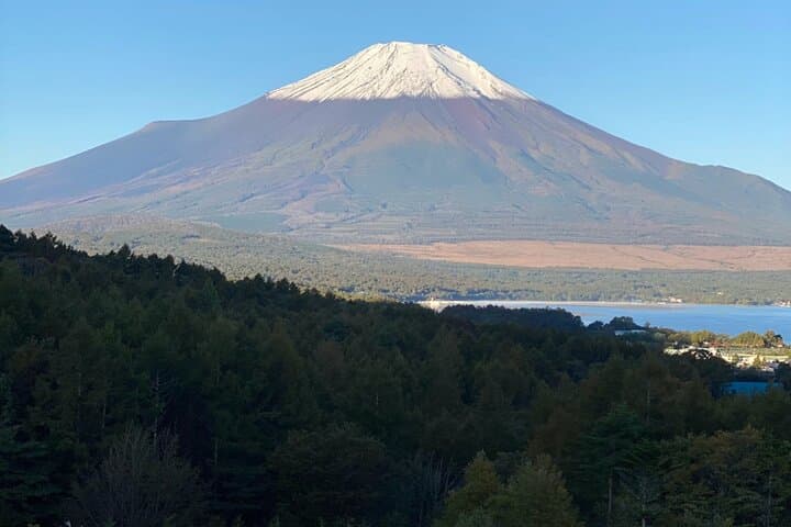 Private Tour: Mt. Fuji, Hakone & Yokohama — Day Trip from Tokyo photo 3