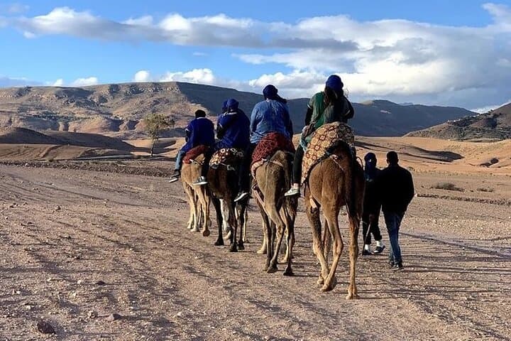 Paragliding & Camel Ride from Marrakech: Agergour Plateau Adventure photo 4