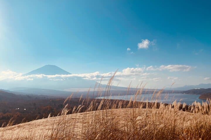 Private Tour: Mt. Fuji, Hakone & Yokohama — Day Trip from Tokyo photo 5