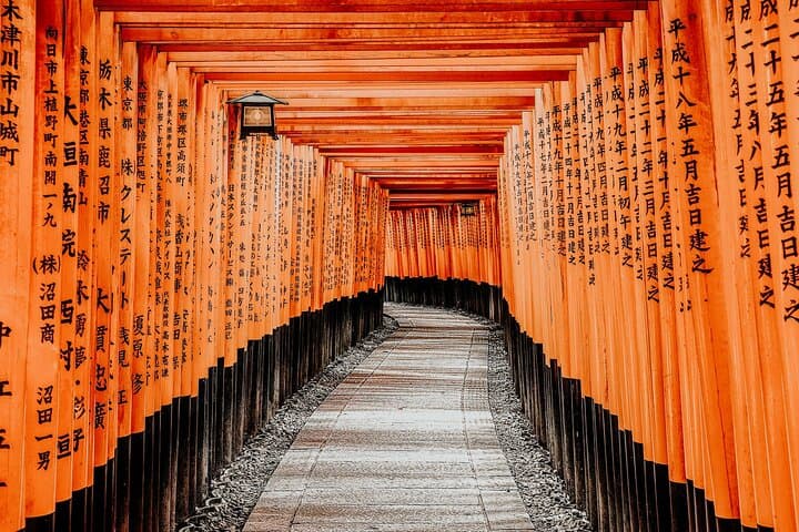 Kyoto UNESCO Tour: Full-Day Walking Journey Through Fushimi Inari, Kiyomizu-dera & Nijo Castle photo 5