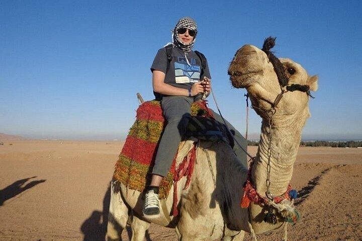 Marsa Alam ATV Safari and Camel Ride — 3-Hour Desert Adventure photo 2