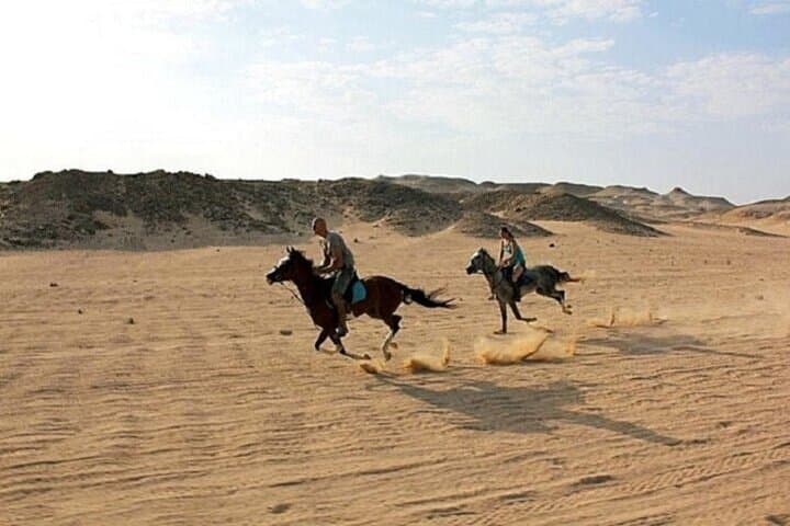 Horseback Riding in Marsa Alam Desert: 1-Hour Ride with Transfer photo 2