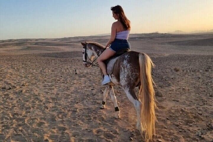 Horseback Riding in Marsa Alam Desert: 1-Hour Ride with Transfer photo 4