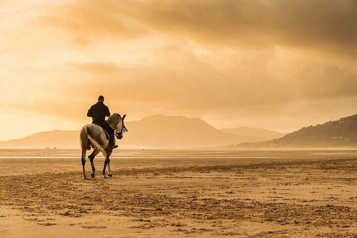 Horseback Riding in Marsa Alam Desert: 1-Hour Ride with Transfer photo 5