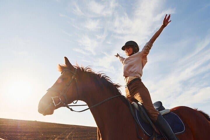 Horseback Riding in Marsa Alam Desert: 1-Hour Ride with Transfer photo 3