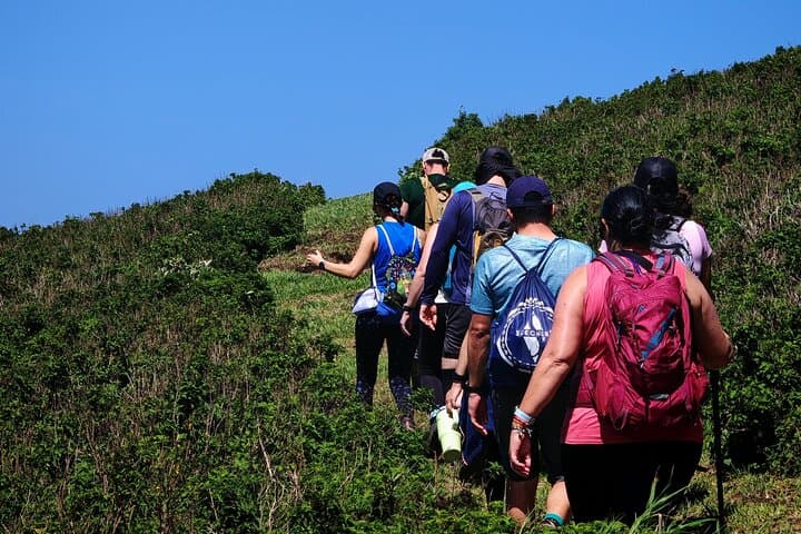 Miravalles Viewpoints, Waterfall & Suspension Bridge Tour — Bagaces, Costa Rica photo 5