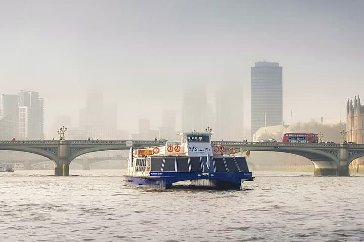 Thames Sightseeing Cruise: Flexible Departure from Westminster to Greenwich photo 3