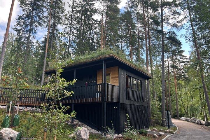 Sipoonkorpi Hike and Traditional Smoke Sauna: Campfire Lunch Near Helsinki photo 3