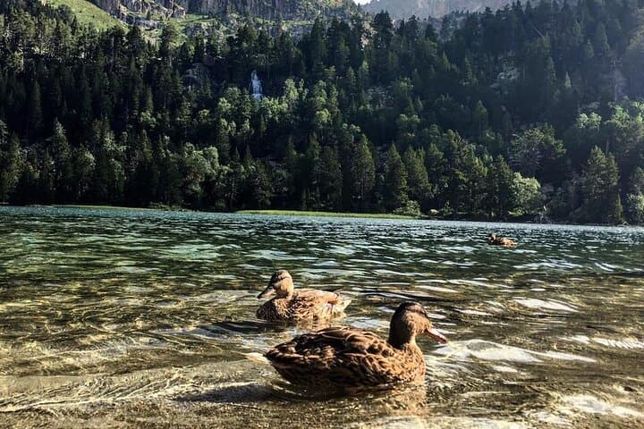 Self-Drive Hiking Adventure in the Spanish Pyrenees — 7-Day Scenic Hikes & Rafting photo 3
