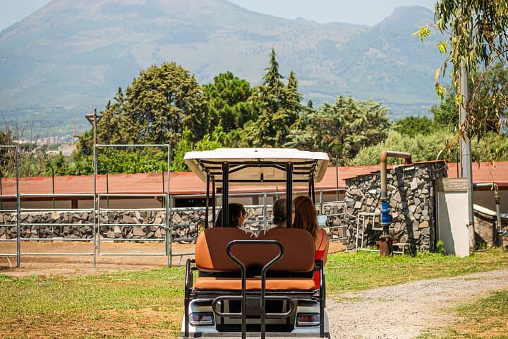 Private Pompeii Tour, Vesuvius Winery Tasting & Lunch photo 5