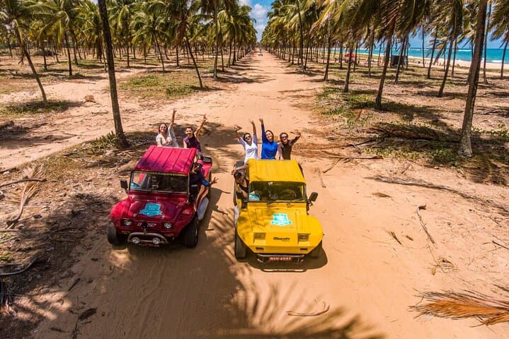 Ponta-a-Ponta Buggy Tour in Porto de Galinhas: Coastal Beaches, Reefs & Seahorse Nursery